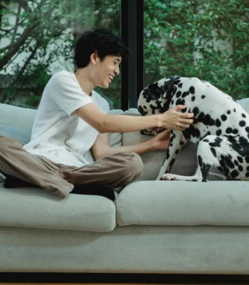 best pet insurance singapore