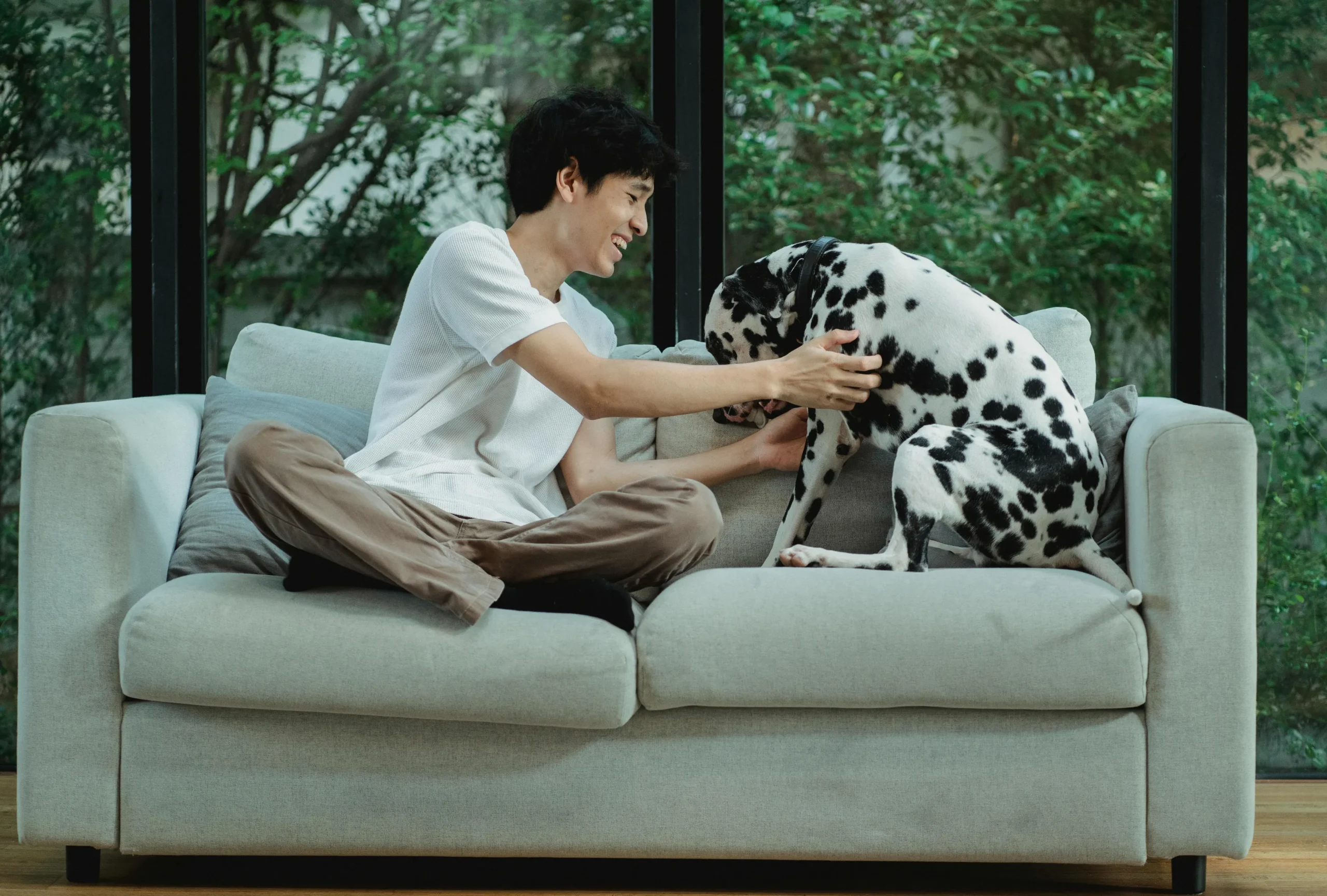 best pet insurance singapore